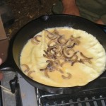 bug_omelette1