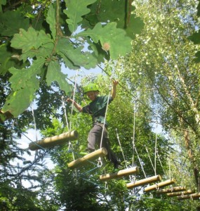 Fun in the trees.